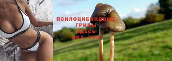 МДПВ Михайлов