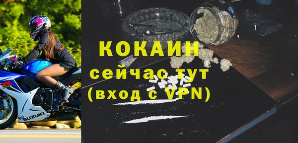 МДПВ Михайлов