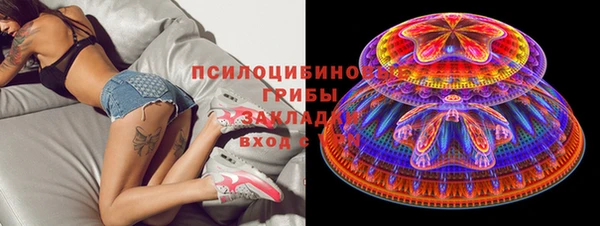 твердый Медвежьегорск