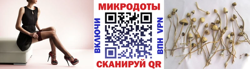 Галлюциногенные грибы GOLDEN TEACHER  Купить закладки  Мышкин 