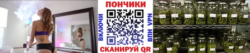 Купить закладки  Мышкин  Канабис планчик 